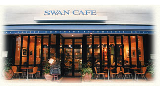 swan-dt.jpg
